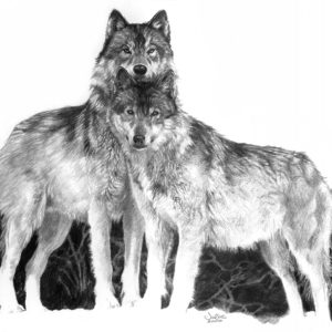 wolves