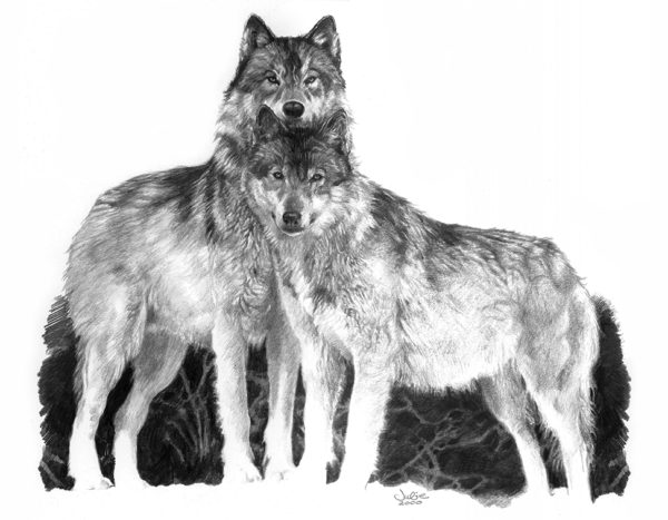 wolves