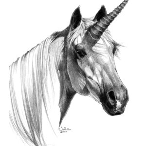 unicorn