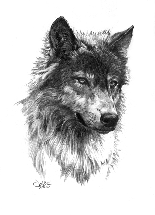 wolf