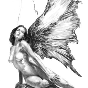 fairy