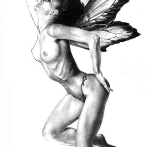 fairy