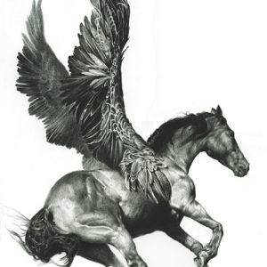 pegasus