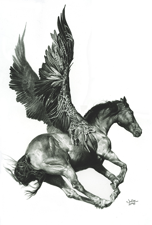 Pegasus black and white hotsell