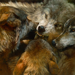wolves