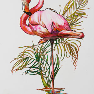flamingo
