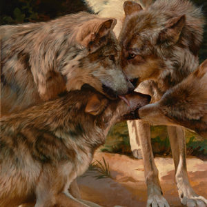 wolves