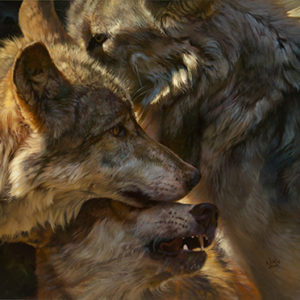 wolf