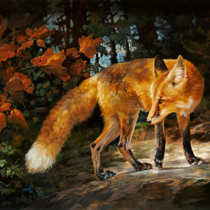 fox