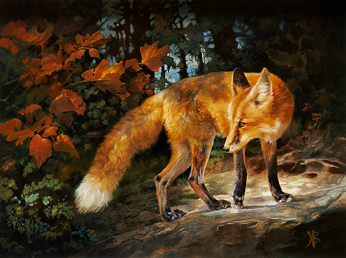 fox