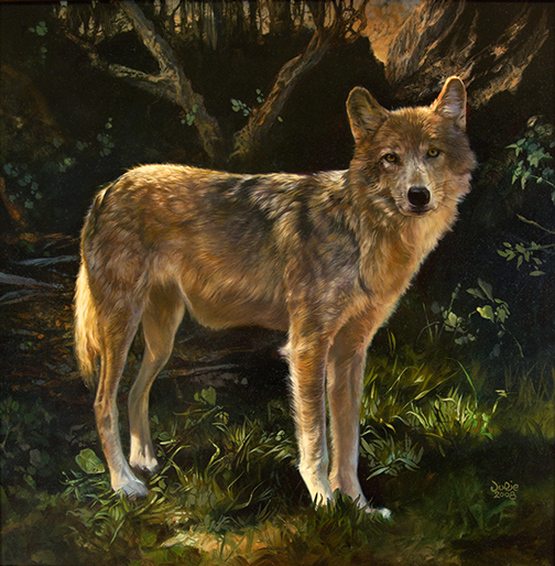 wolf