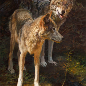 wolves
