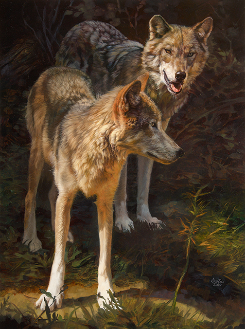 wolves