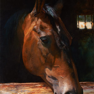 horse