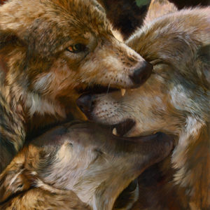 wolf