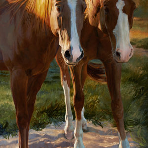 equine