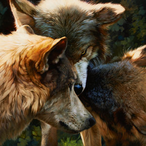 wolves