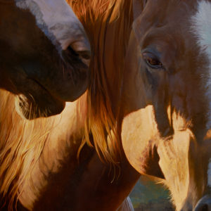 equine