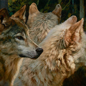 wolf pack