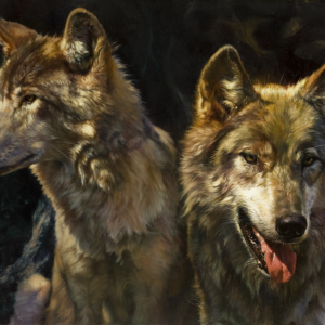 wolves