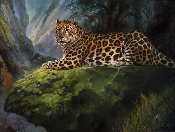 jaguar