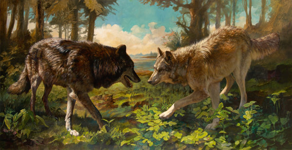 wolves