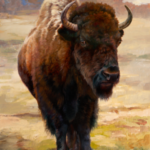 bison