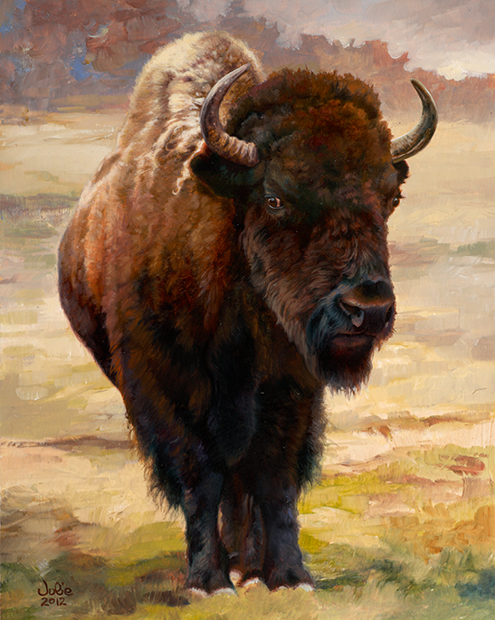 bison