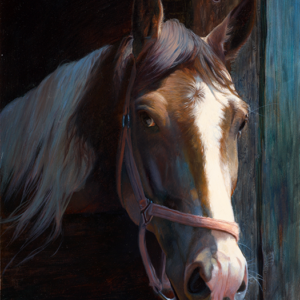 horse