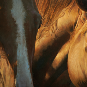 equine