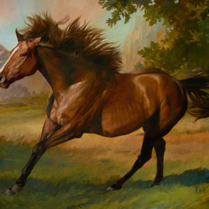 equine
