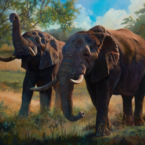 elephant