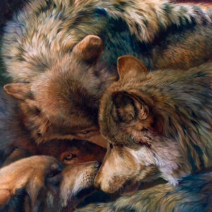 wolves