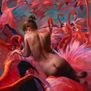 flamingo