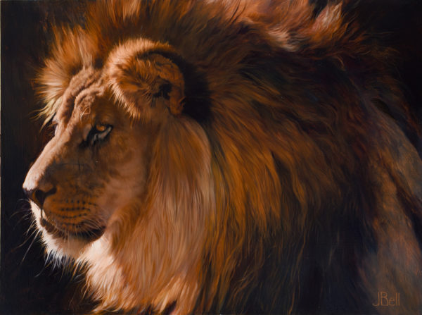 lion