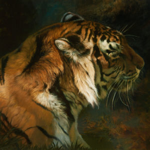 tiger