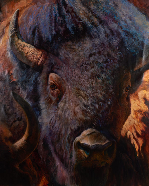 bison