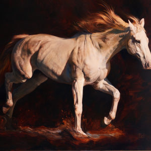 equine