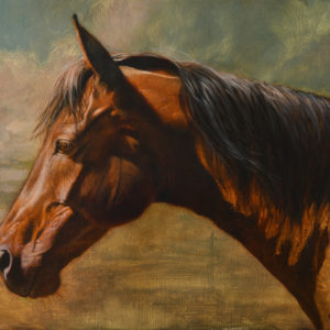 equine