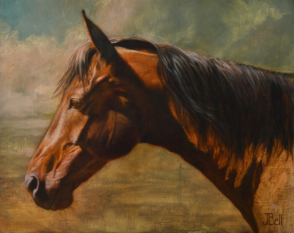 equine