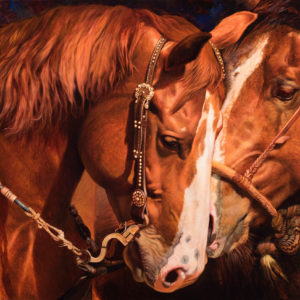 equine