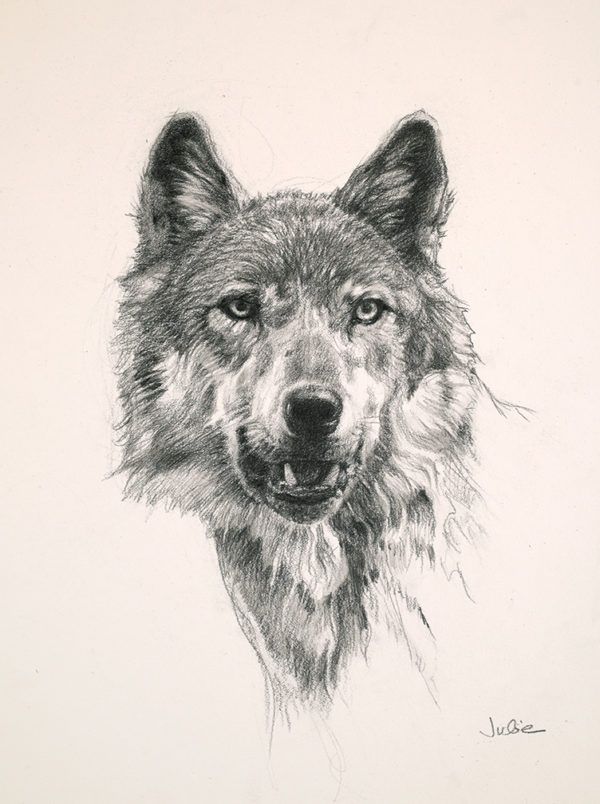 wolf