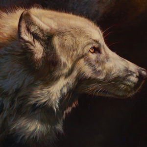 wolf