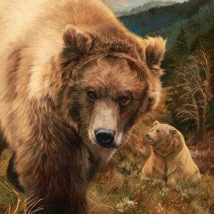 bears