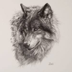 wolf