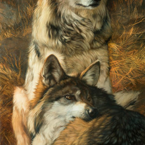 wolves