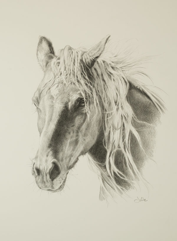 equine