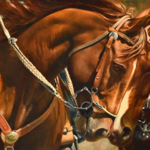 equine