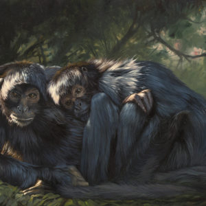 monkey