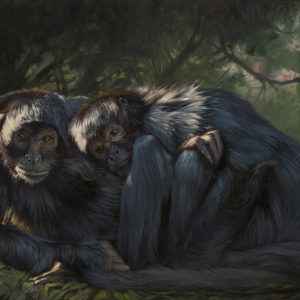 monkey